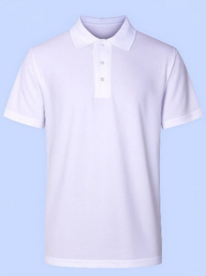 Picture of Polo Shirt