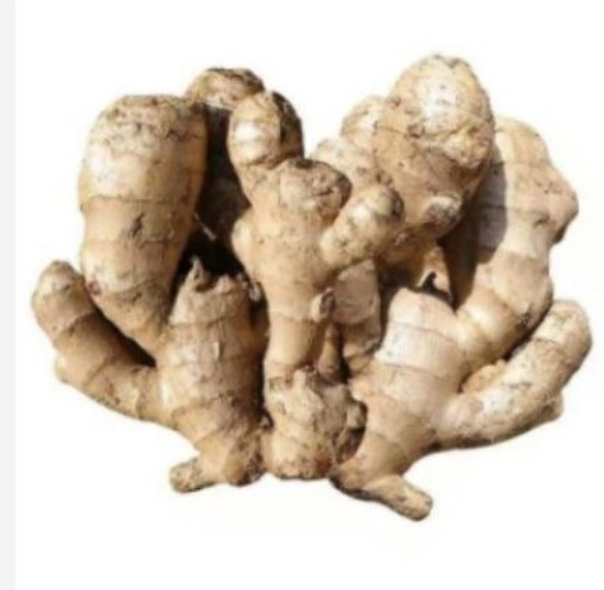 Picture of Ginger
