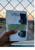 Picture of 250g Moringa Powder