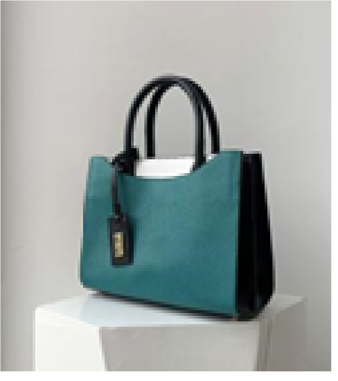 Picture of Gigi’s square tote bag