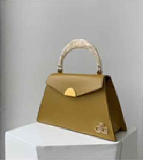 Picture of Women bag with horn handle